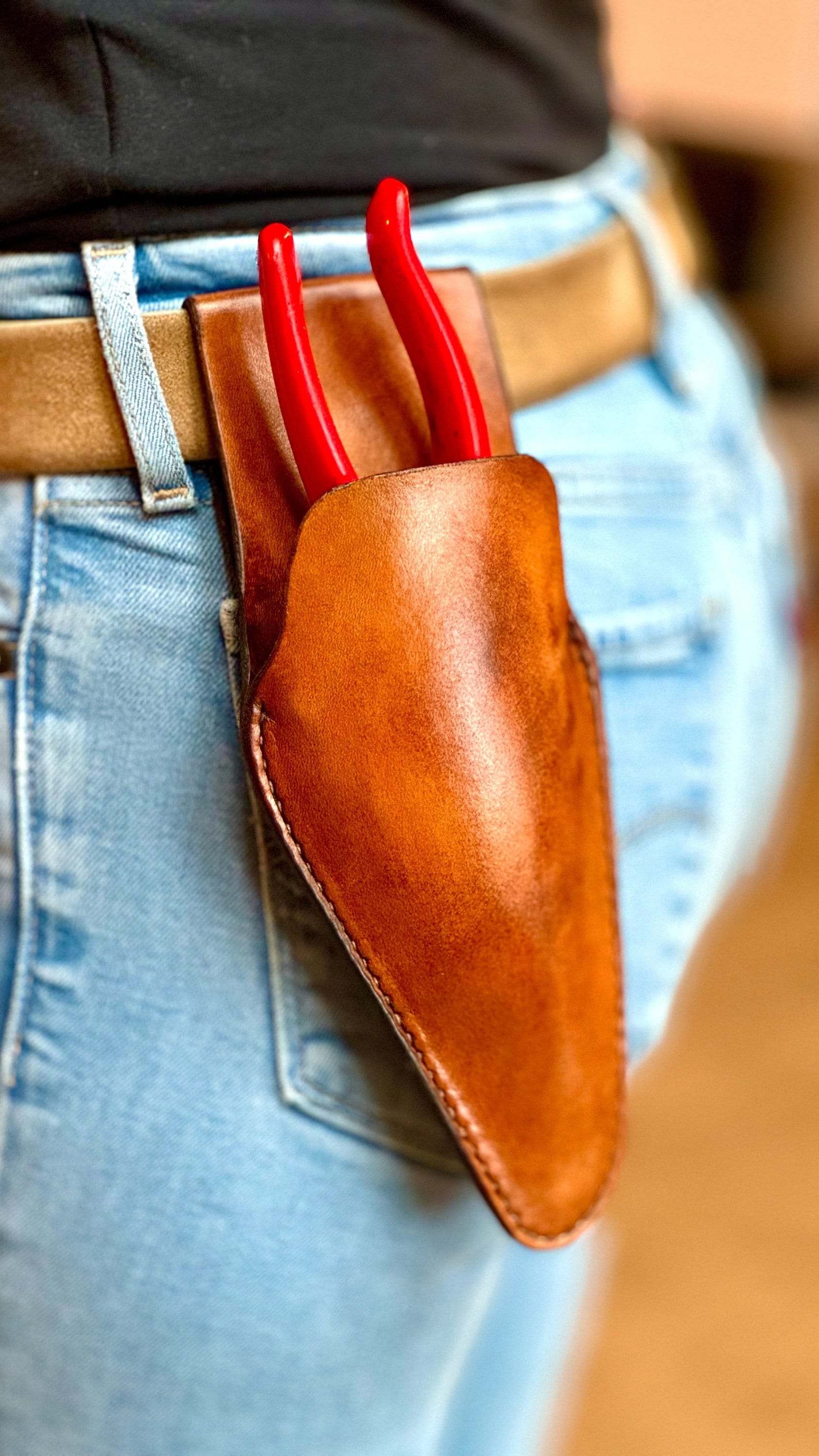 Deluxe Garden Leather Holster